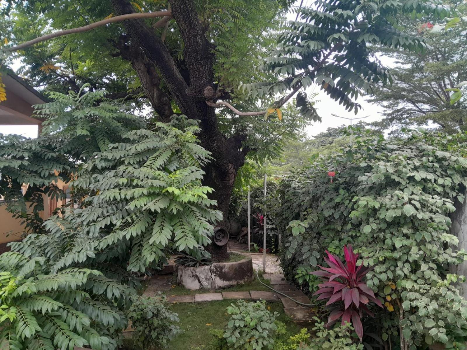 Casa De Ferias Apartamento Sao Tome Exterior foto